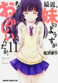 最近、妹のようすがちょっとおかしいんだが。 【全11巻セット・完結】/松沢まり