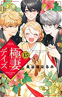 極妻デイズ　全巻(1-15巻セット・完結)長谷垣なるみ【1週間以内発送】