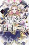 星降る王国のニナ (14) リカチ
