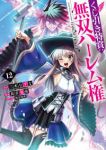 【予約商品】くじ引き特賞:無双ハーレム権(1-12巻セット)