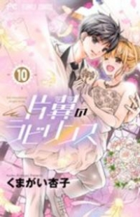 片翼のラビリンス　全巻(1-10巻セット・完結)くまがい杏子【1週間以内発送】