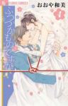 ふつつかものですが　全巻(1-4巻セット・完結)おおや和美【1週間以内発送】