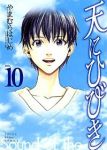 天にひびき【全10巻完結セット】 やまむらはじめ