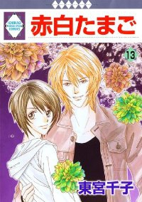 赤白たまご　全巻(1-13巻セット・完結)東宮千子【1週間以内発送】